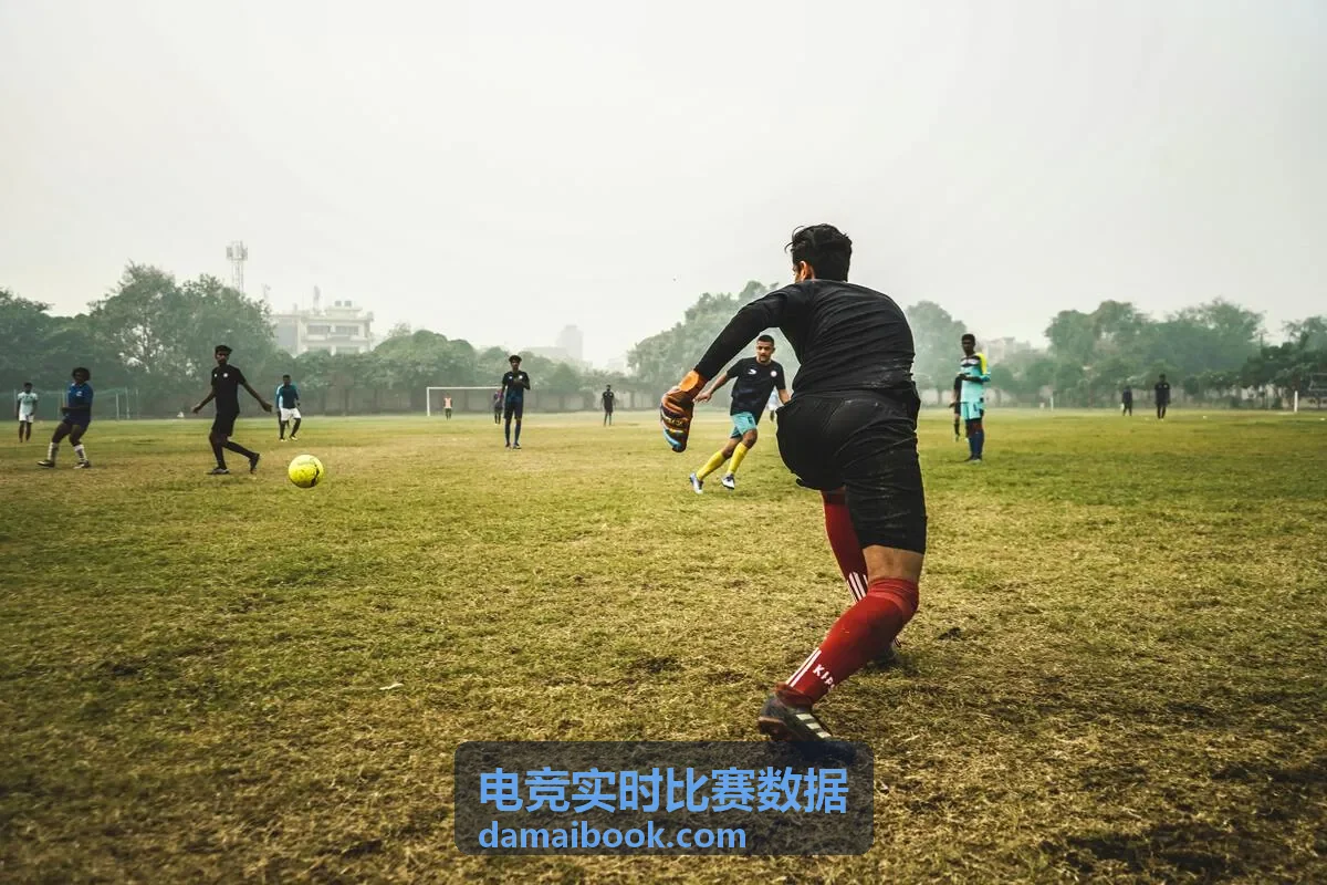 电竞数据平台案例